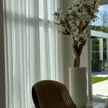 10ft blanco magnolia árbol en brillante beige st. tropez jardinera