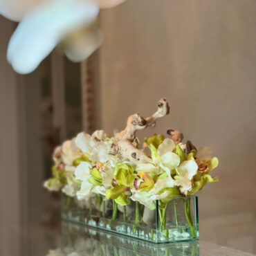Casa Moderna con blanco vandas y verde cymbidiums
