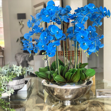 avenue cuenco con azul phalaenopsis orquídeas