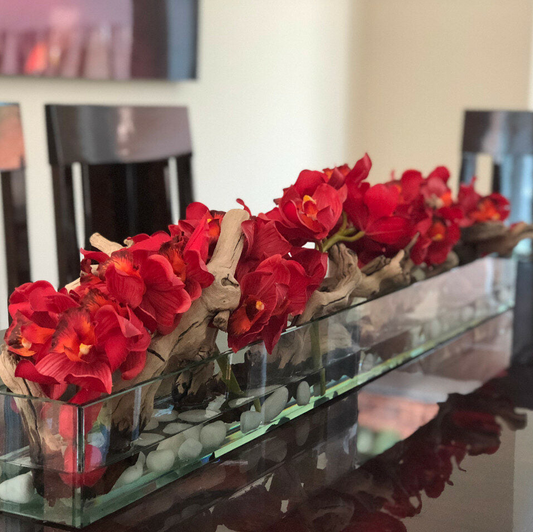 120 cm moderna casa vidrio jardinera con rojo cymbidium orquídeas.