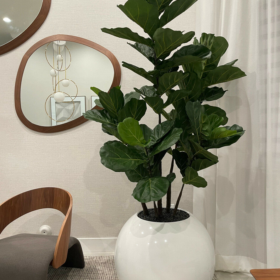 76 cm blanco esférico jarrón con violín-hoja higuera árbol