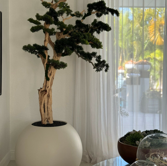 bonsái en un 75 cm satén beige esférico jardinera