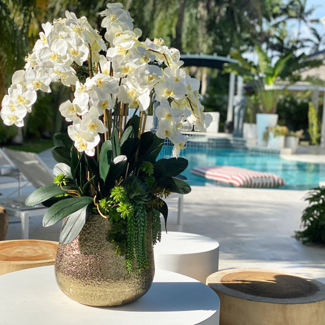 delaney dorado jarrón con múltiples stems de phalaenopsis orquídeas y succulents.