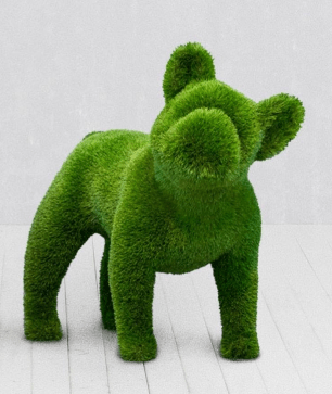 French Bulldog topiario