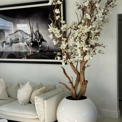 blanco magnolia árbol en brillante blanco esfera maceta, 76 cm