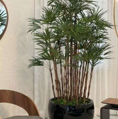 negro Terragona jarrón con dama palmera