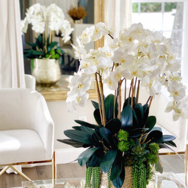 delaney dorado maceta con múltiples Stems de phalaenopsis orquídeas y Succulents