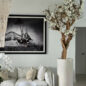 10ft blanco magnolia árbol en brillante beige st. tropez jardinera