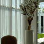 10ft blanco magnolia árbol en brillante beige st. tropez jardinera