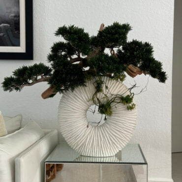 grande eternidad jarrón con colgante bonsái árbol y madera-a-la-deriva