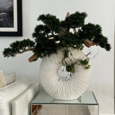 grande eternidad jarrón con colgante bonsái árbol y madera-a-la-deriva