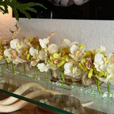 Casa Moderna con blanco vandas y verde cymbidiums