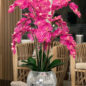 orquídeas en craquelado espejo jarrón
