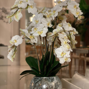orquídeas en craquelado espejo jarrón