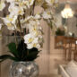 orquídeas en craquelado espejo jarrón