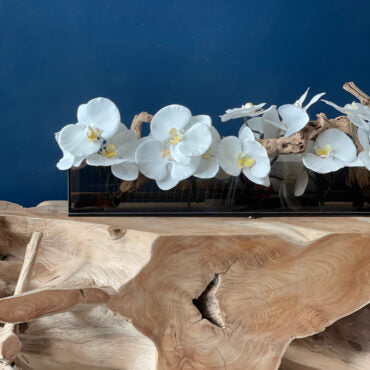 36″ Casa Moderna negro teñido vidrio plato jardinera con blanco phalaenopsis orquídeas