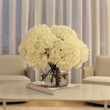 blanco hortensia ramo en clear vidrio cilindro jarrón