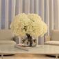 blanco hortensia ramo en clear vidrio cilindro jarrón