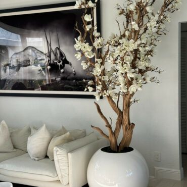 blanco magnolia árbol en 30″ brillante blanco esférico jardinera