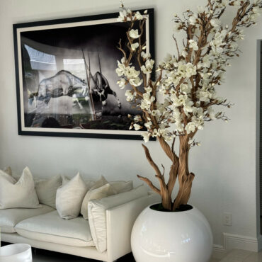 blanco magnolia árbol en 30″ brillante blanco esférico jardinera