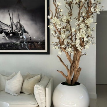 blanco magnolia árbol en 30″ brillante blanco esférico jardinera