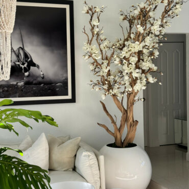 blanco magnolia árbol en 30″ brillante blanco esférico jardinera