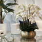 blanco phalaenopsis orquídeas en dorado metal Bowie cuenco