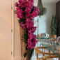grande vivo borde teca jarrón con rosa vanda orquídeas