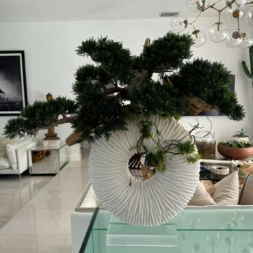grande eternidad jarrón con colgante bonsái árbol y madera-a-la-deriva