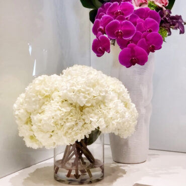 blanco hortensia ramo en clear vidrio cilindro jarrón