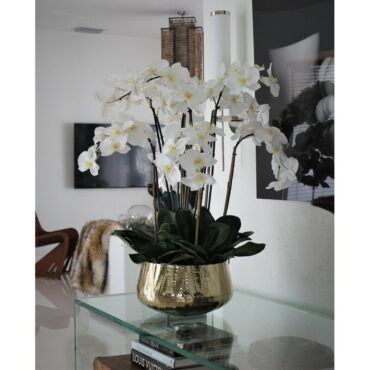 phalaenopsis orquídeas floral arreglo en dorado jardinera