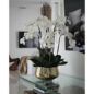 phalaenopsis orquídeas floral arreglo en dorado jardinera