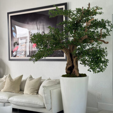 Artificial negro olivo bonsái árbol en brillante blanco belle jardinera