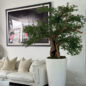 Artificial negro olivo bonsái árbol en brillante blanco belle jardinera