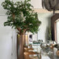Artificial negro olivo bonsái árbol en dorado Revolver jardinera