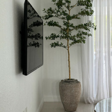 Parthenon jardinera con 7′ Shady dama árbol
