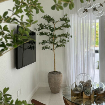 Parthenon jardinera con 7′ Shady dama árbol